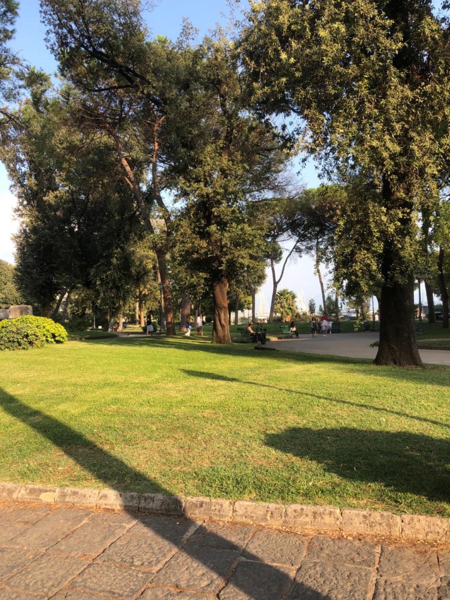Merlino